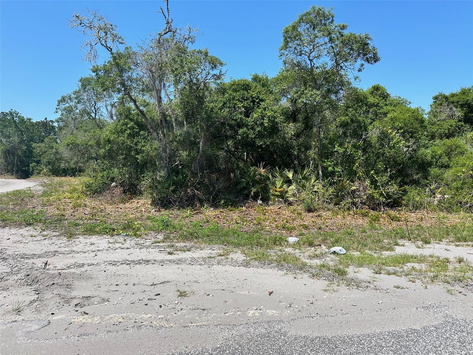 Tbd Fisher Way Property Photo 1
