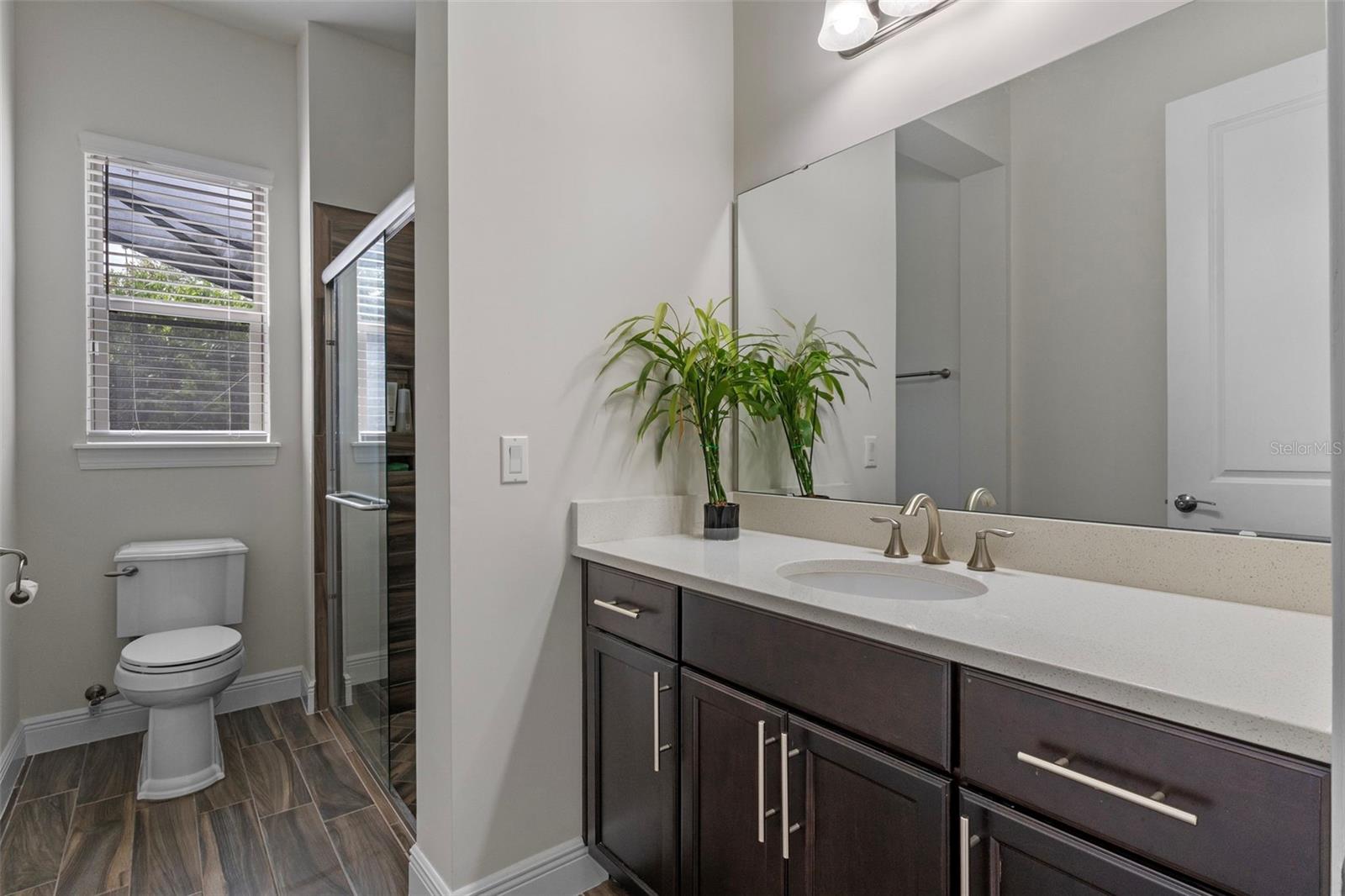 10819 Savona Way Property Photo 19