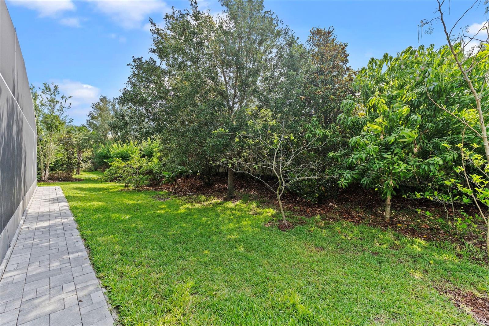 10819 Savona Way Property Photo 41