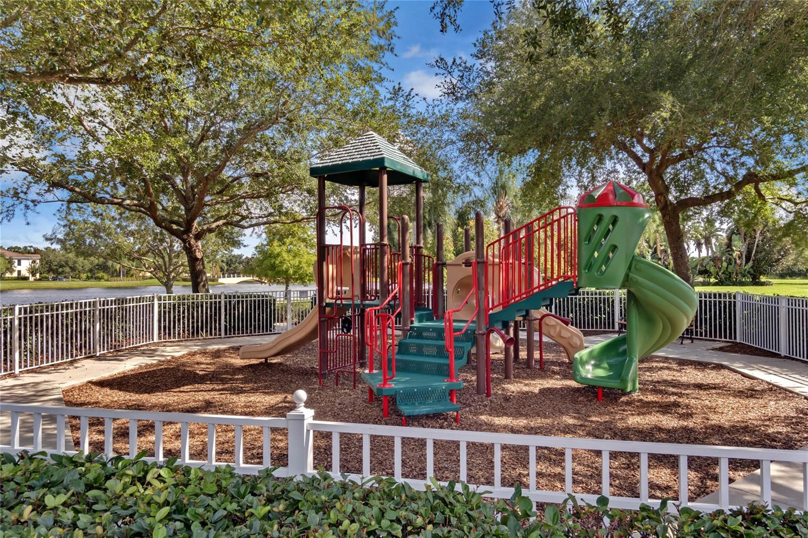 10819 Savona Way Property Photo 63