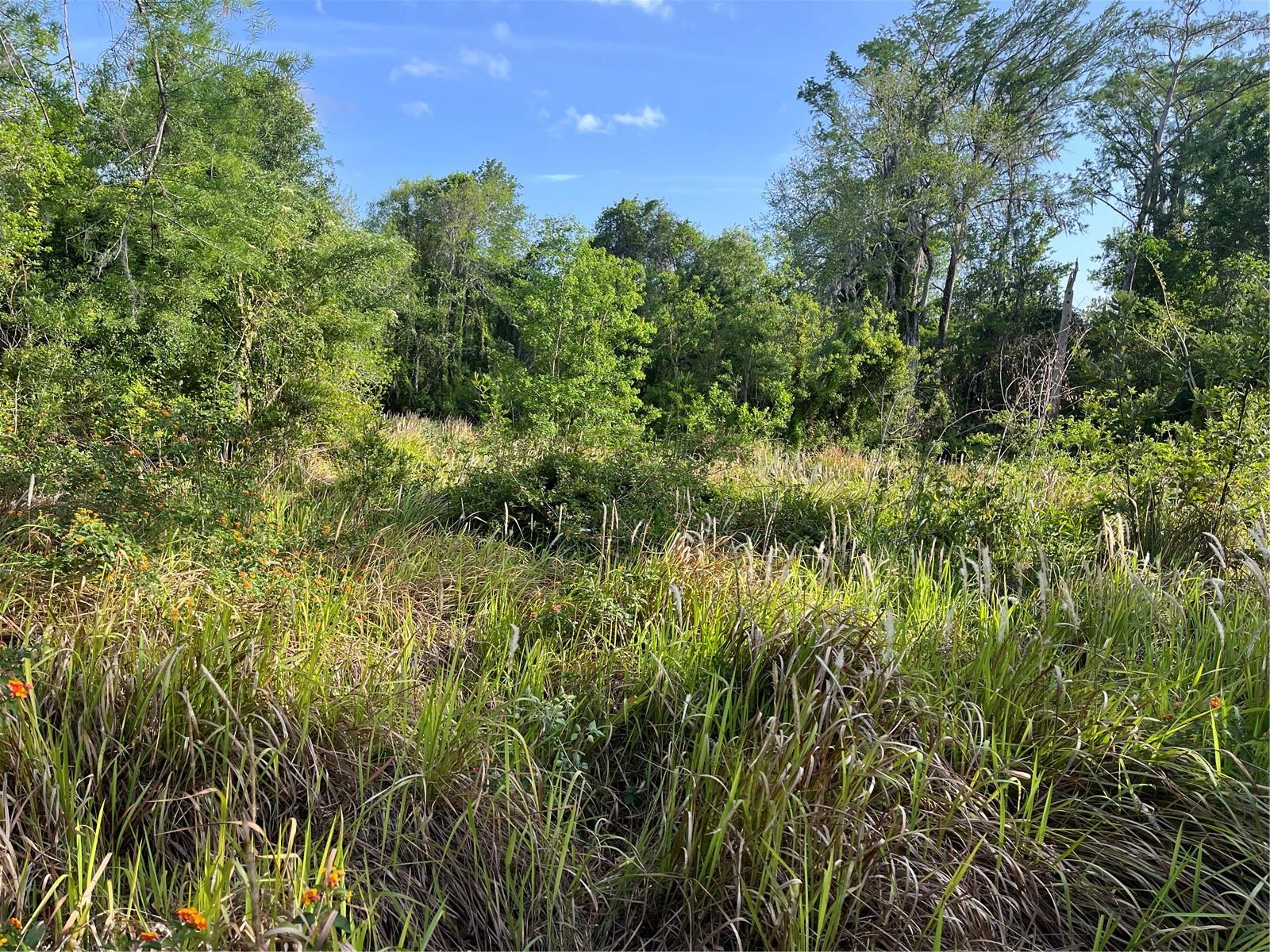 Harvest Ln Property Photo 2