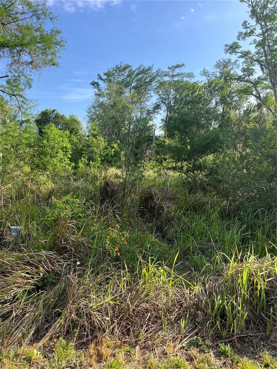 Harvest Ln Property Photo 7