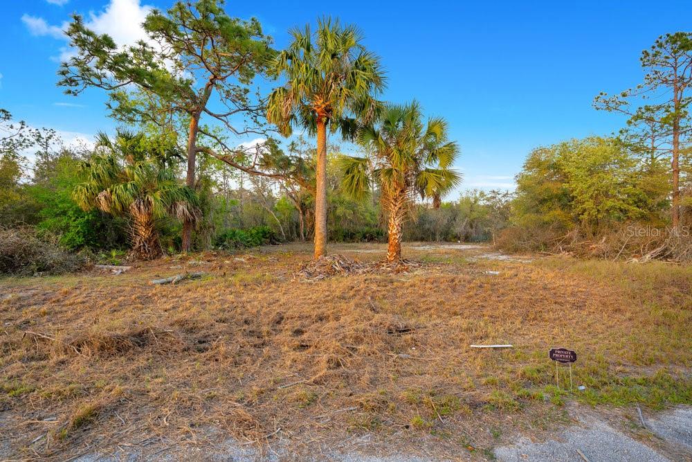 1411 Sarasota Ct Property Photo 2