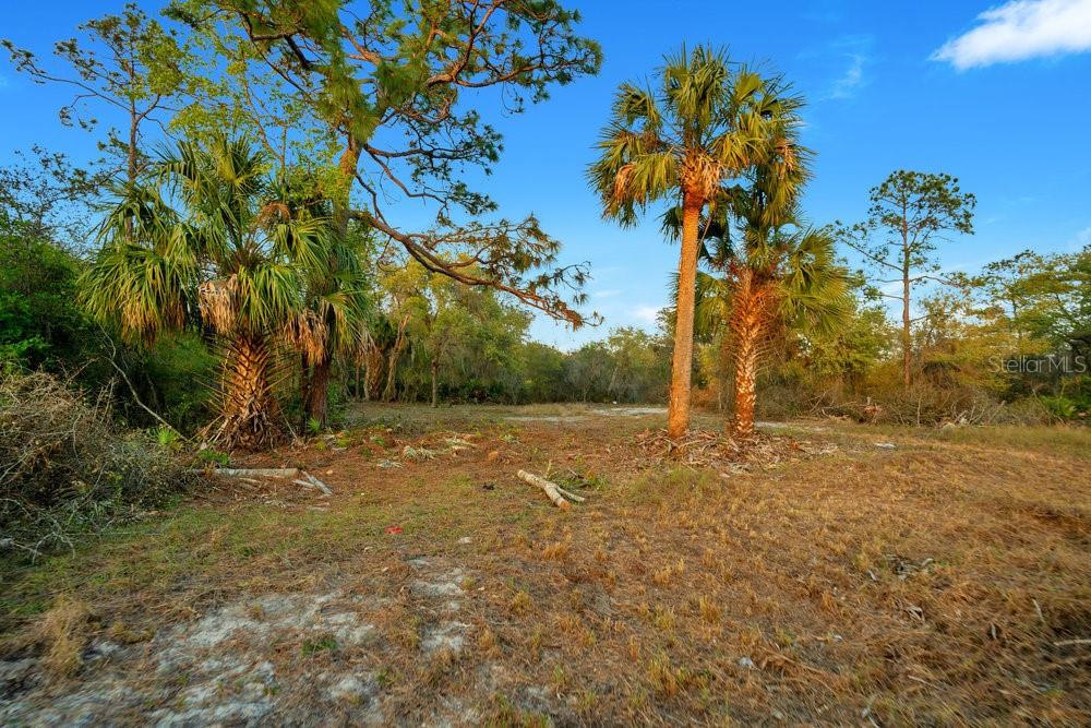 1411 Sarasota Ct Property Photo 5