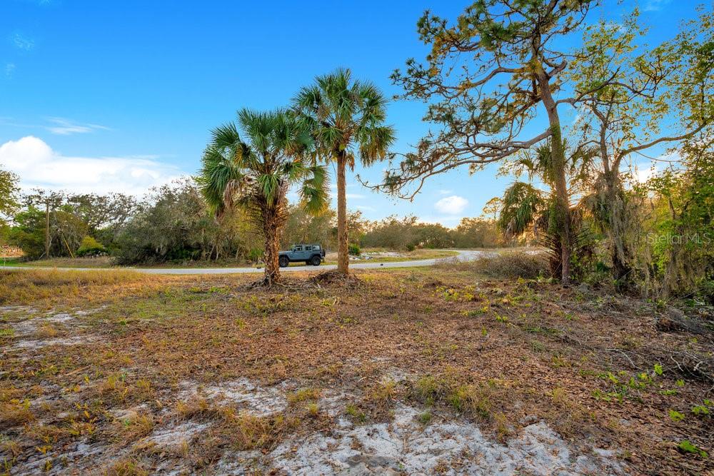 1411 Sarasota Ct Property Photo 6