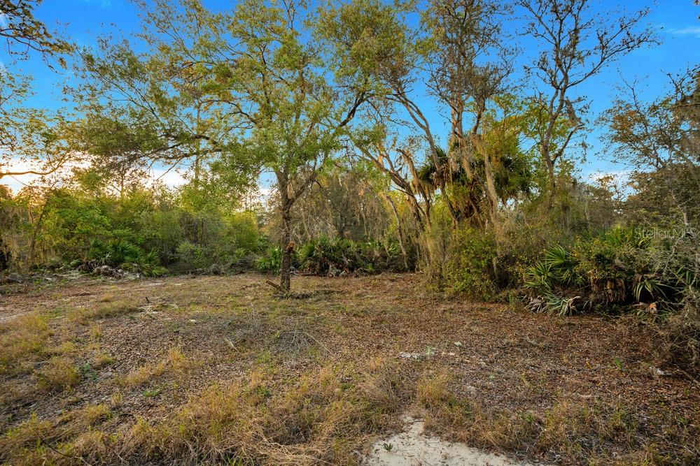 1411 Sarasota Ct Property Photo 7