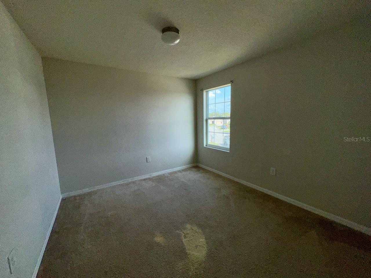 235 Hibiscus St Property Photo 29