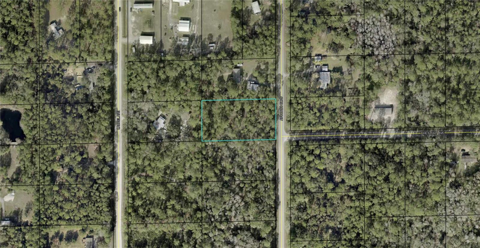 1590 Avocado Blvd Property Photo