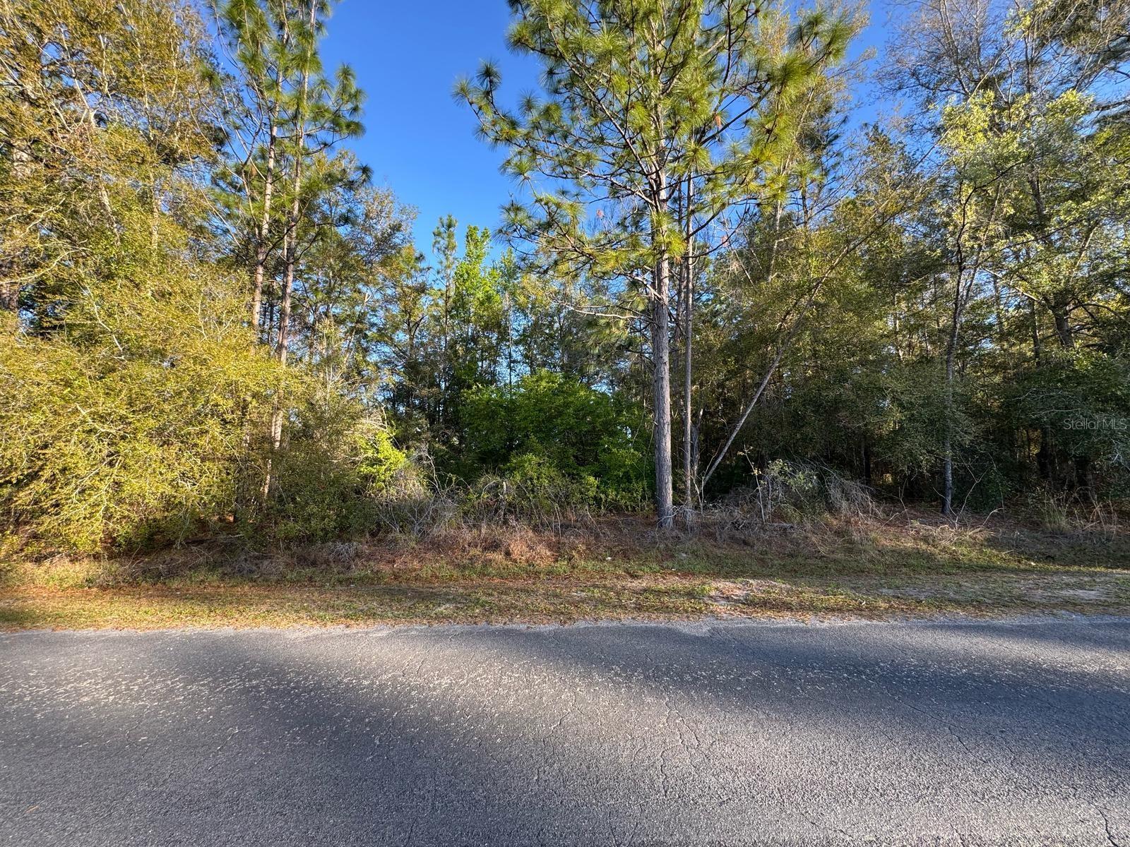 7898 N Pocono Dr Property Photo 1