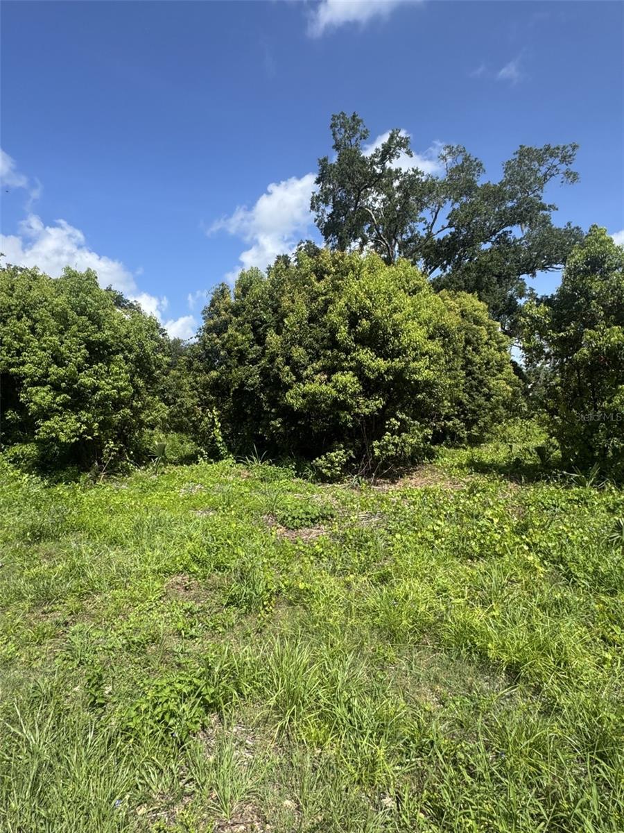 Paige Ave Property Photo 1