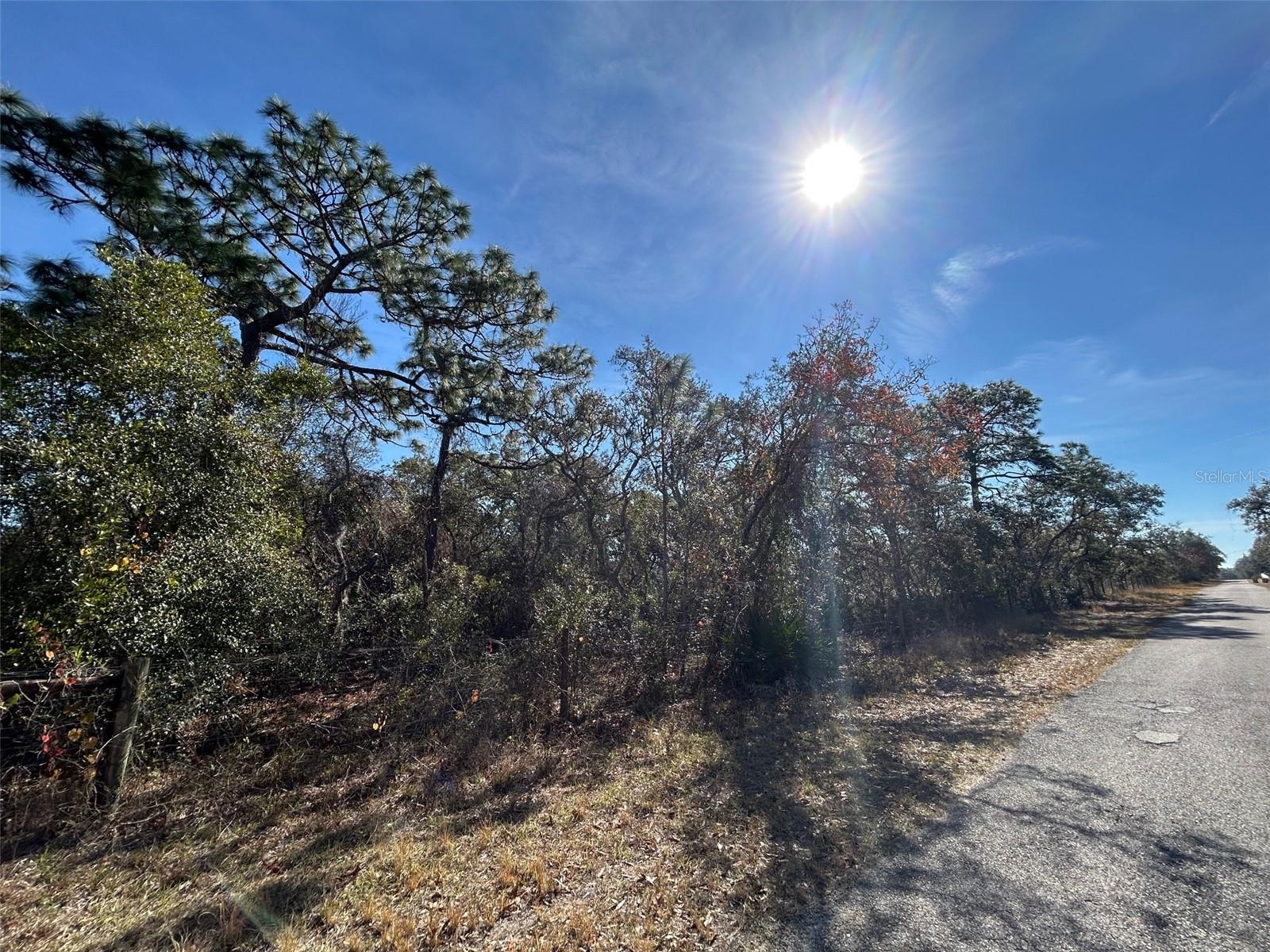 9940 Black Bear Ln Property Photo 6