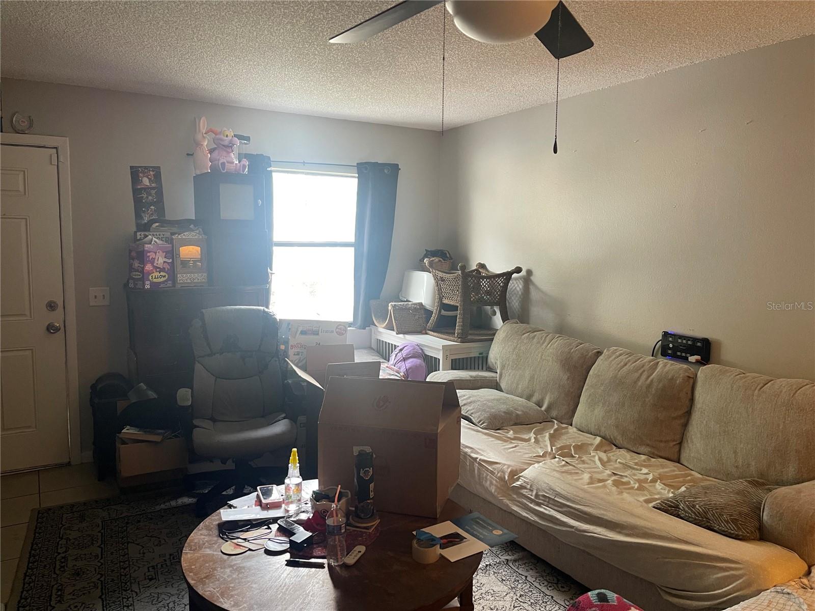 3347 Timberline Rd W Property Photo 3