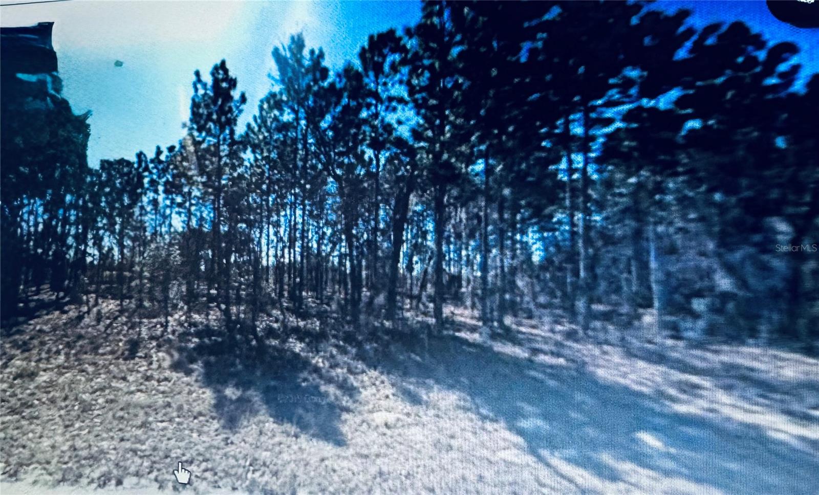 Marion Oaks Property Photo 1