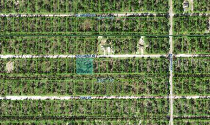 1023 Gallardia Dr Property Photo 2