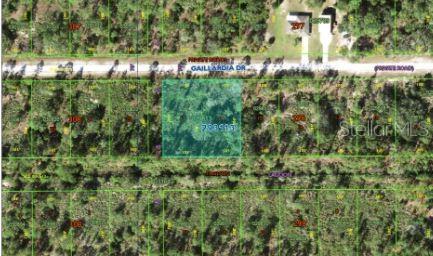 1023 Gallardia Dr Property Photo 3