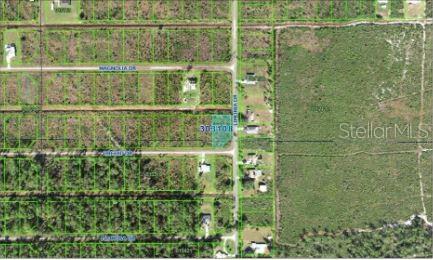 202 Orchid Dr Property Photo 4