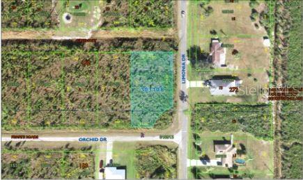 202 Orchid Dr Property Photo 5