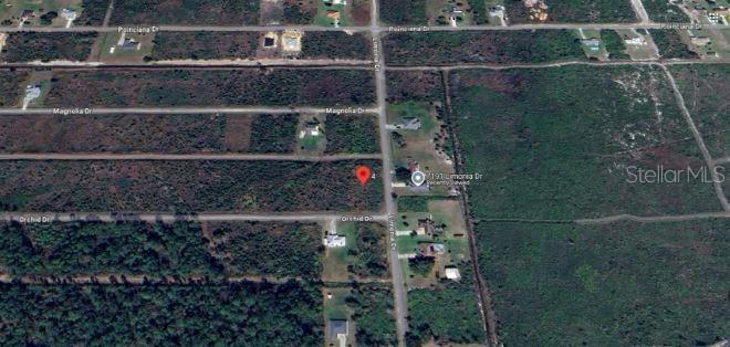 202 Orchid Dr Property Photo 6
