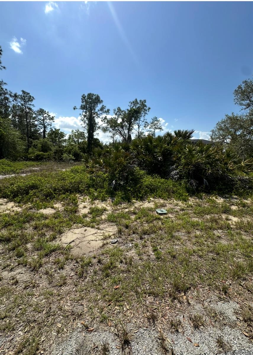 1327 ST AUGUSTINE DR Property Photo 1