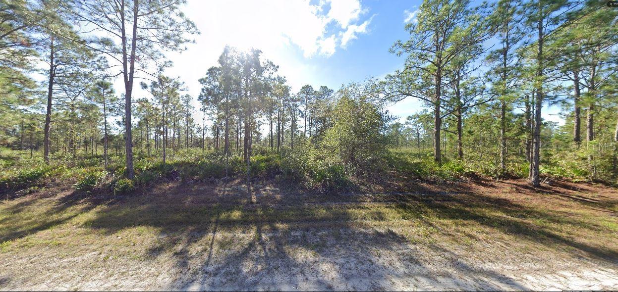 711 Alba Dr Property Photo 5