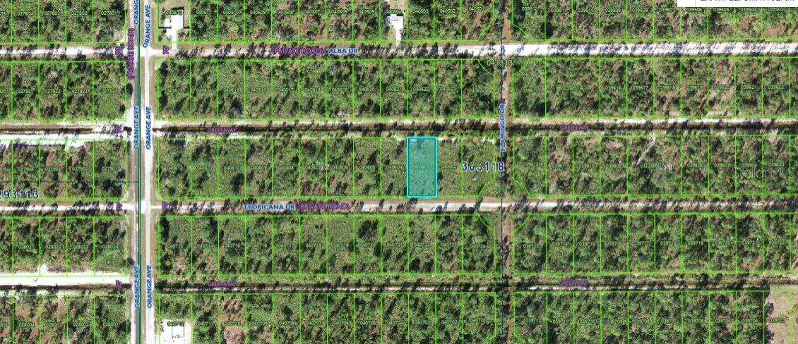 706 Tropicana Dr Property Photo 4