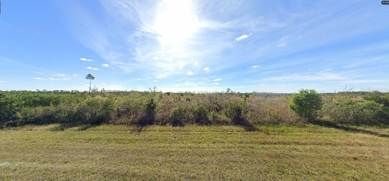 501 Calendula Dr Property Photo 5