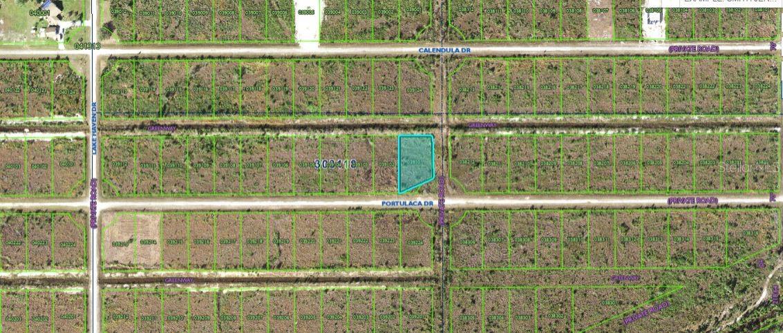 502 Portulaca Dr Property Photo 2