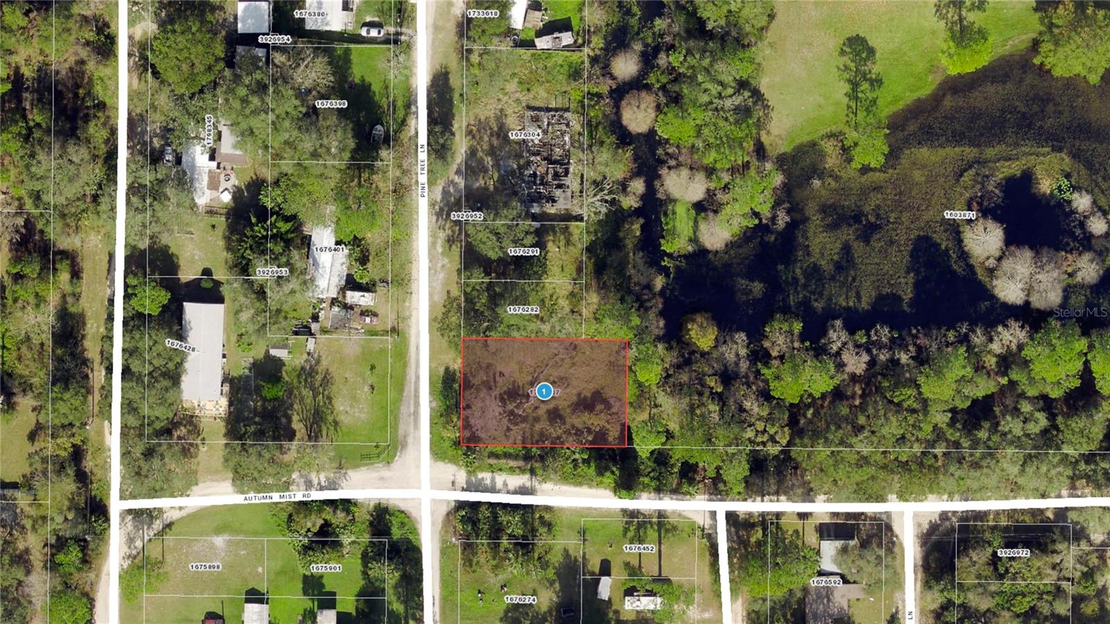 40850 Pine Tree Ln Property Photo 22