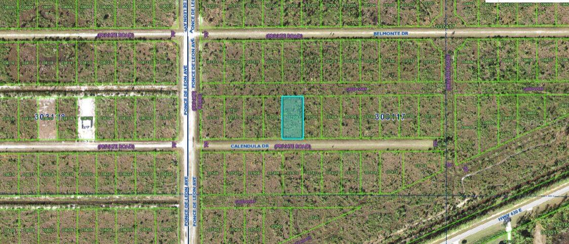 316 Calendula Dr Property Photo 4