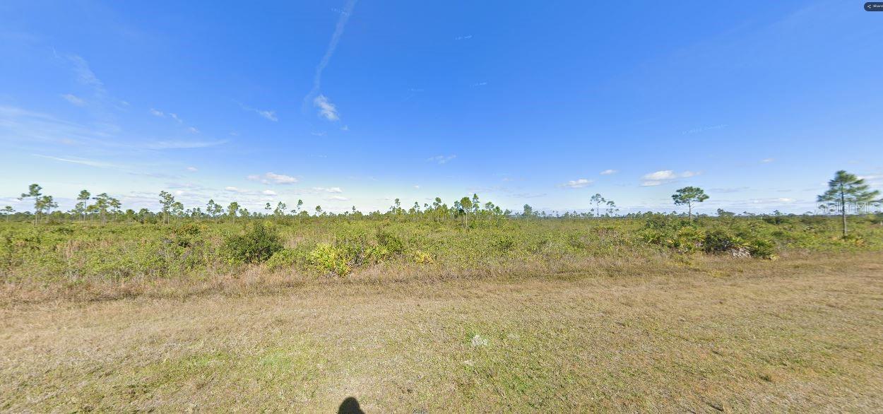 316 Calendula Dr Property Photo 5