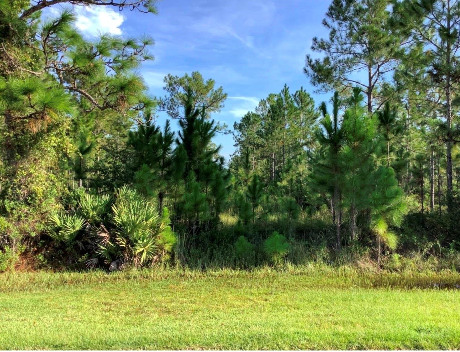 Lot 120 Sabal St Property Photo 1