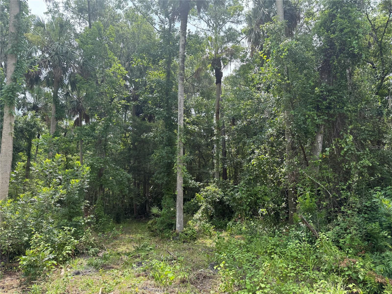 Okaloosa Trl Property Photo 2