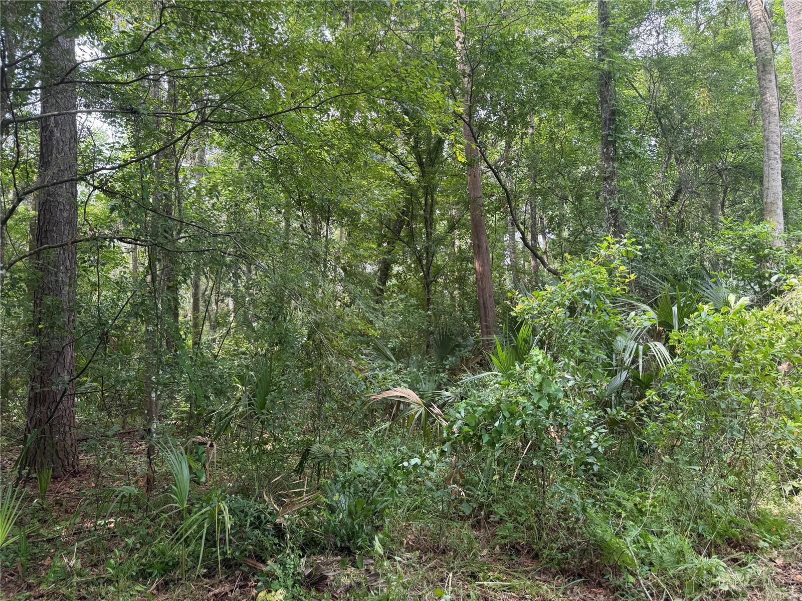 Okaloosa Trl Property Photo 3