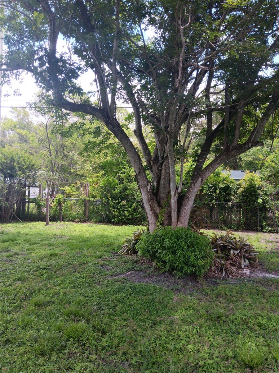 2103 Mantilla Ave Property Photo 24