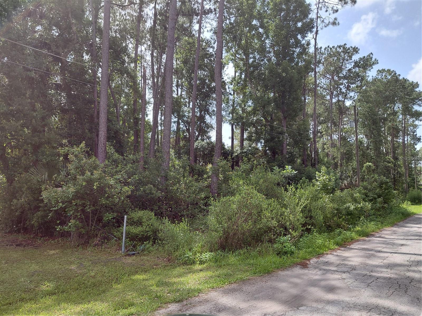 James St Property Photo 2