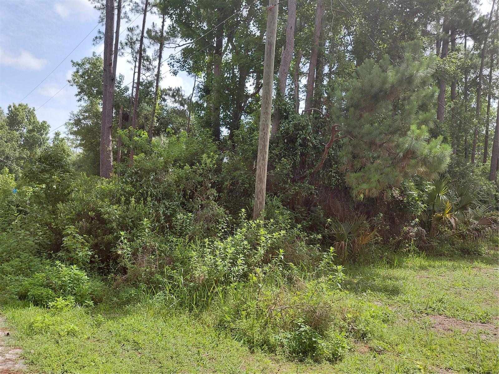 James St Property Photo 4