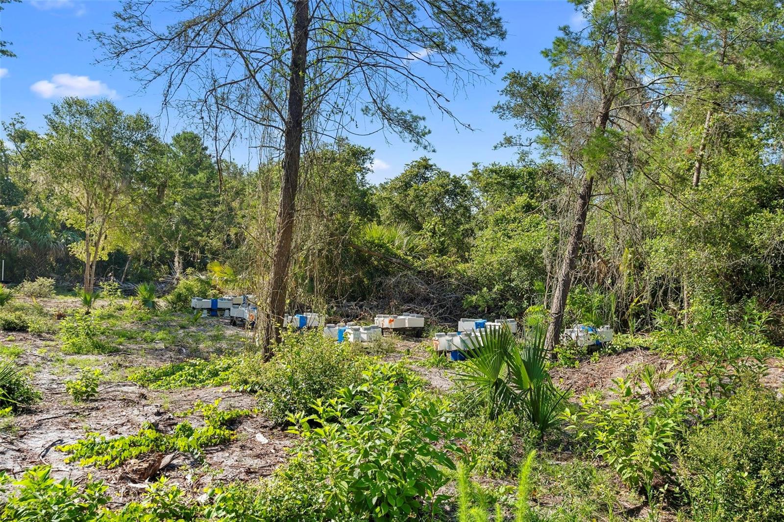 1835 S Glencoe Rd Property Photo 18