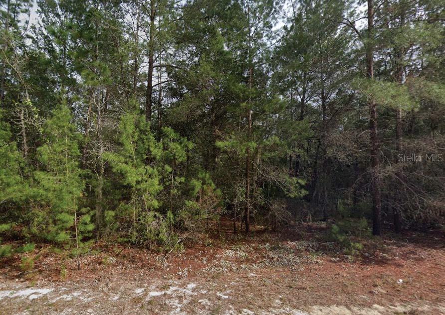 Theresa Ave Property Photo 1