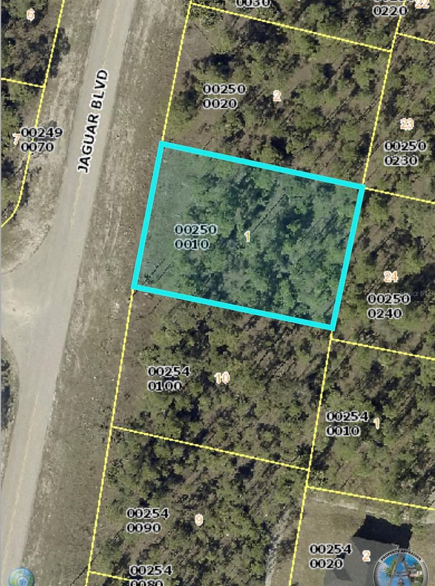 436 JAGUAR BLVD Property Photo 1