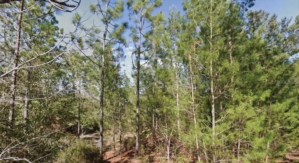 Orchid Dr Property Photo 1