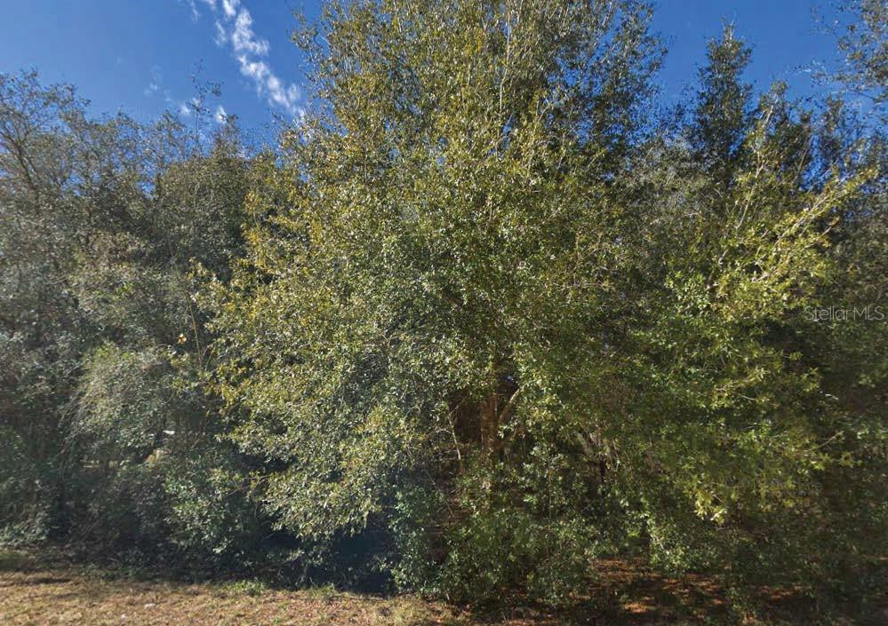 Maltas Ave Property Photo 1