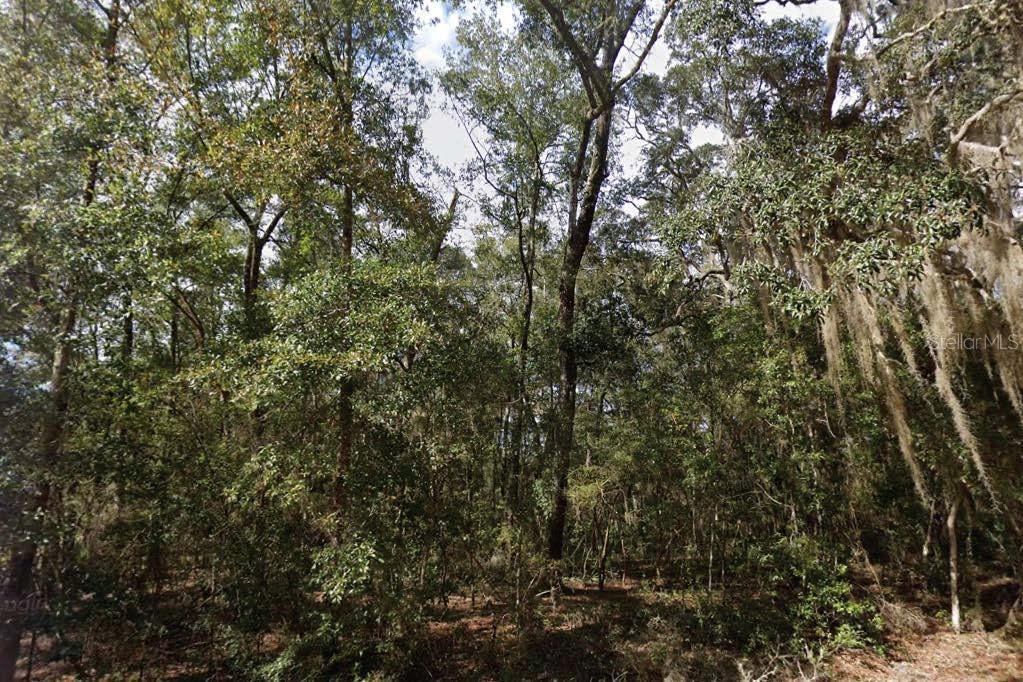 Walker Dr Property Photo 1