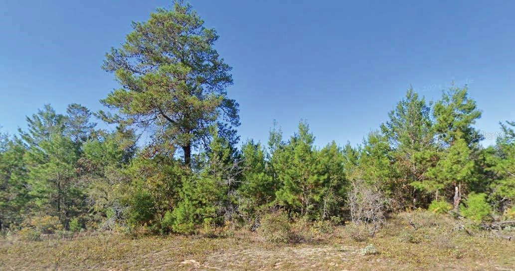 Dumajack Rd Property Photo 1