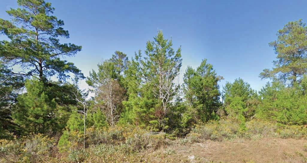 Dumajack Rd Property Photo 1
