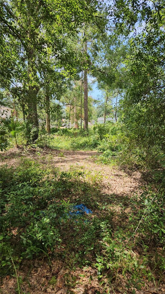 7624 Anno St Property Photo 1