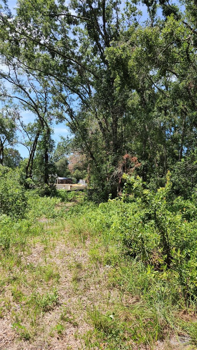 7624 Anno St Property Photo 2