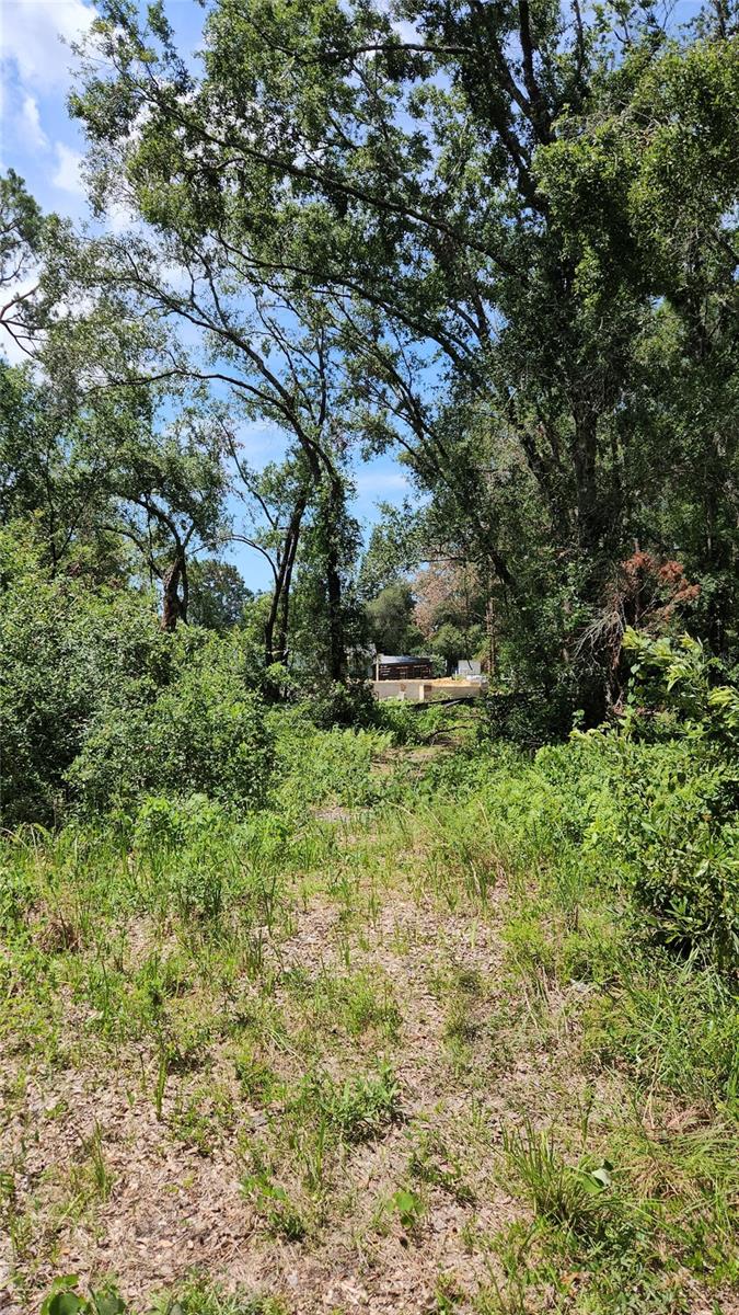 7624 Anno St Property Photo 3