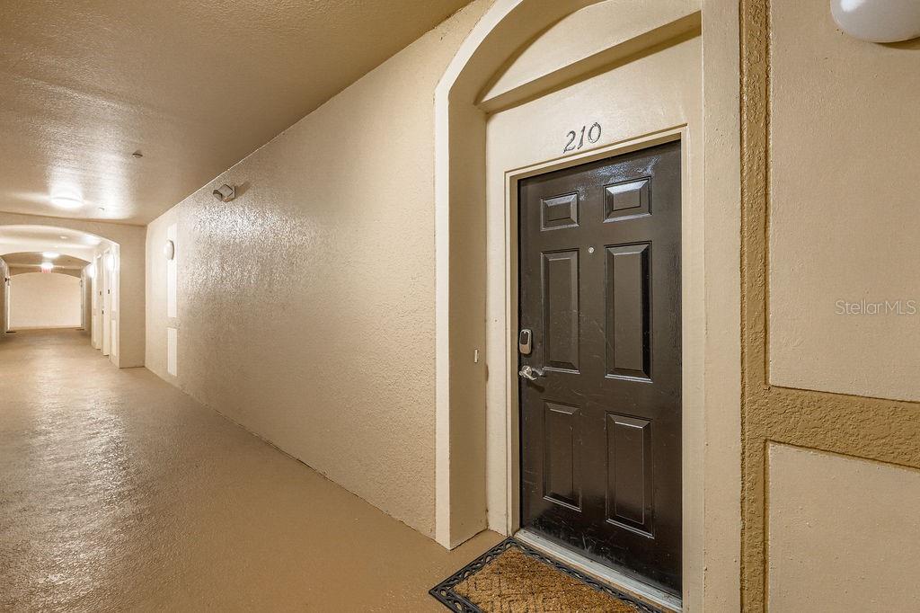 6434 Cava Alta Dr #210 Property Photo 2