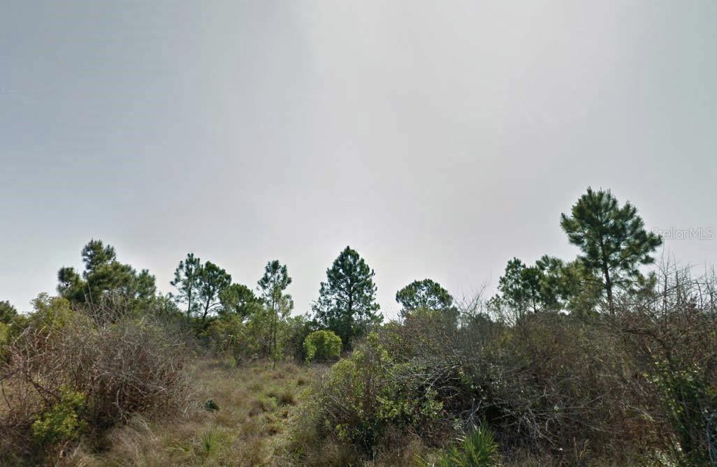 DALEWOOD CIR Property Photo 1