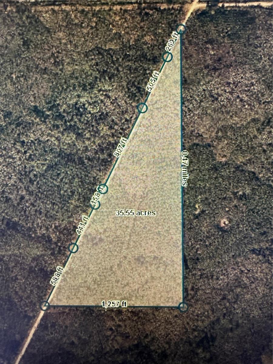 35 Acres Madison Main Line Property Photo 3